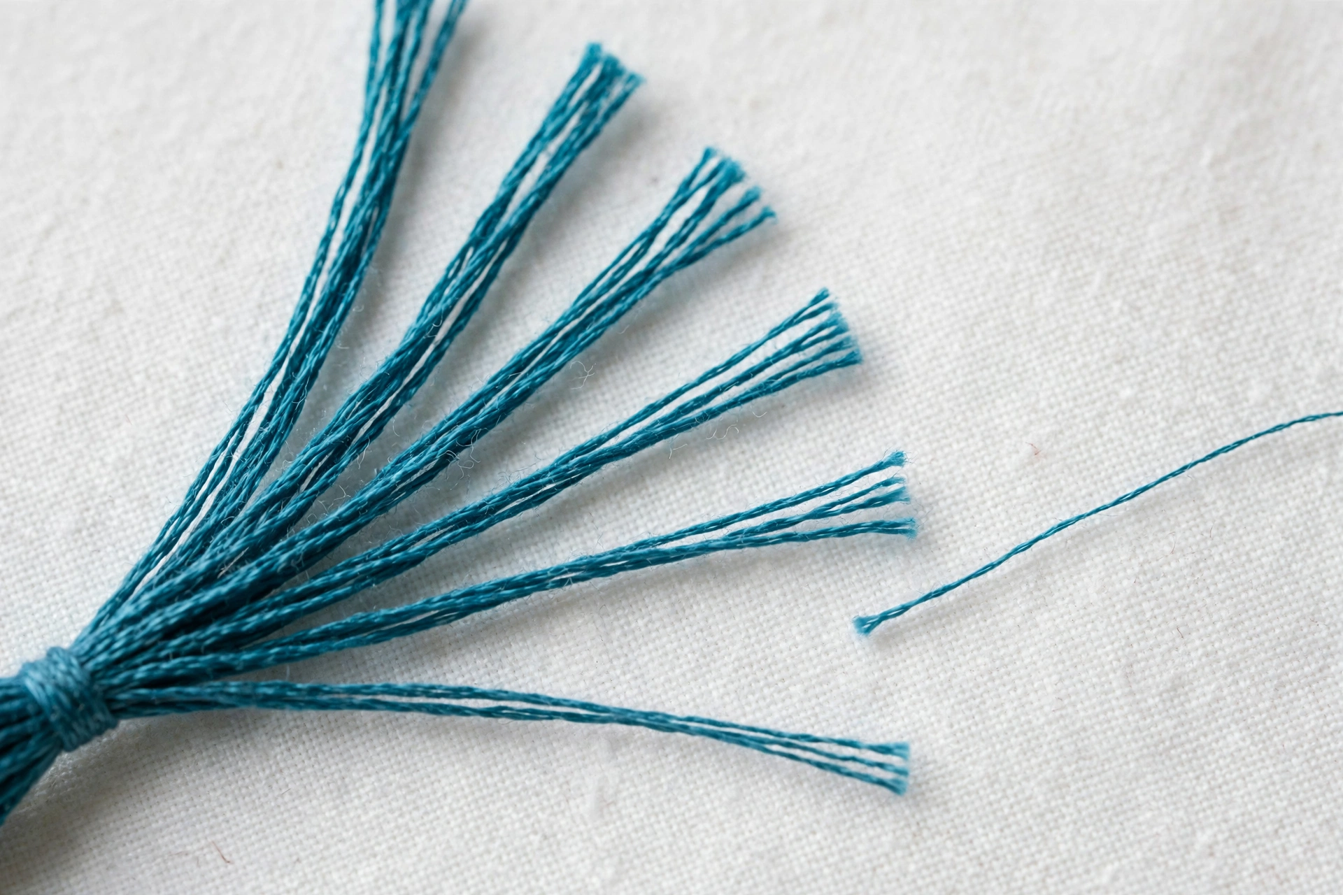 Six-strand embroidery floss fanned out beside a single separated strand on white fabric showing thickness difference